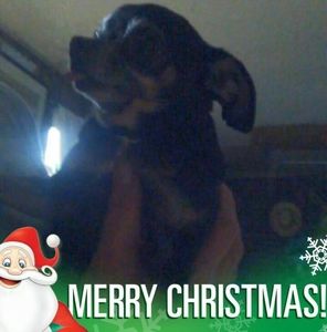 Meet your Posher, Sandy